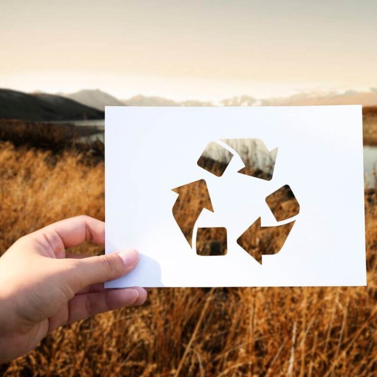 Lux emballages Doncols packaging carton écologique